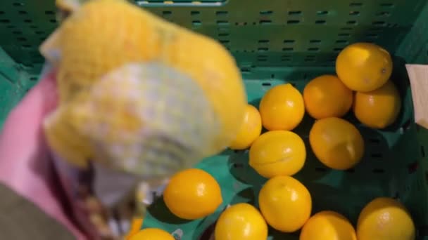 Közelkép egy kézről, ahogy citromot fog penésszel. Friss termékek és fenntartható vásárlás. Kiváló minőségű 4k felvételek. - Felvétel, videó
