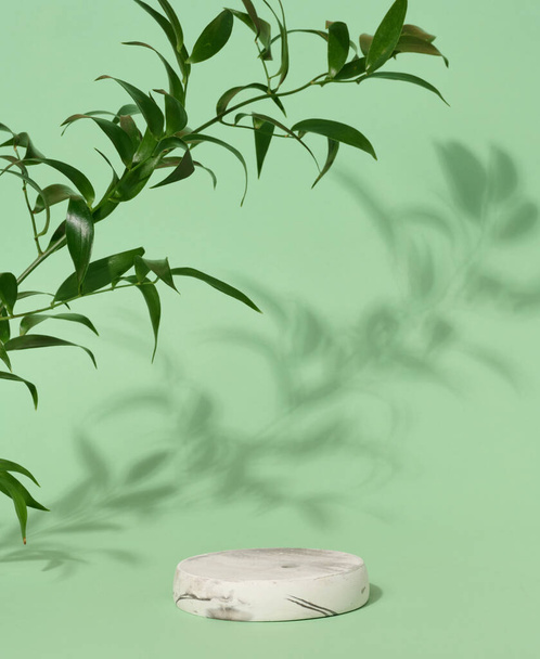 Pusty okrągły biały marmur stojak na zielonym tle i zielone liście, miejsce do wyświetlania kosmetyków i produktów - Zdjęcie, obraz