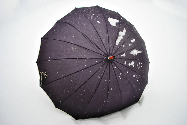 Paraguas nieve
 - Foto, imagen