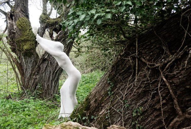 σέξι γυμνή γυναίκα σε λευκό διαφανές βαμβακερό κάλτσες σε εξωτερικούς χώρους στο πράσινο δάσος της φύσης ιτιάς πάρκο, αντίγραφο χώρου - Φωτογραφία, εικόνα