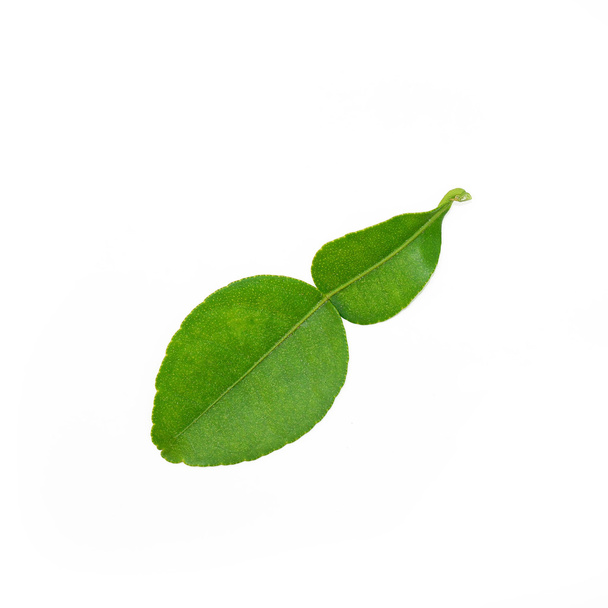 Kaffir lime leave - Foto, afbeelding