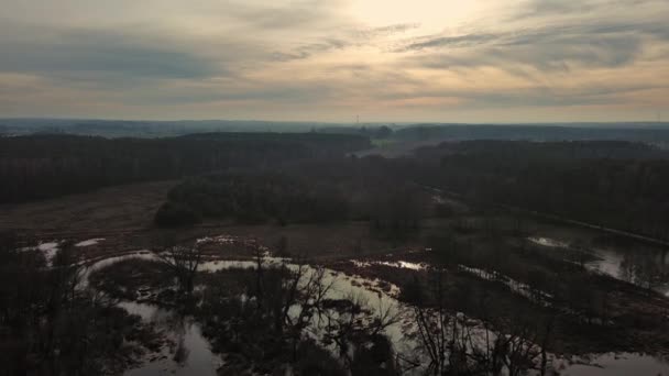 Hochwasser vom kleinen Fluss Grabia, Polen. - Filmmaterial, Video