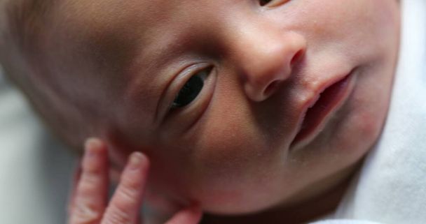 Closeup of infant newborn baby in first day of life - Zdjęcie, obraz