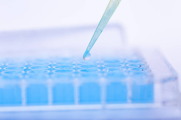 cell culture at the medicine  medical and cell culture laboratory - Photo, Image