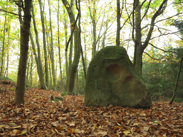 Taş anıt taş kafatası - Fotoğraf, Görsel