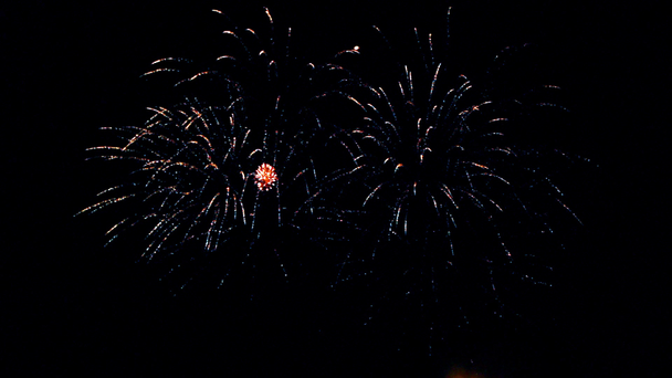Real Fireworks 9 - Footage, Video