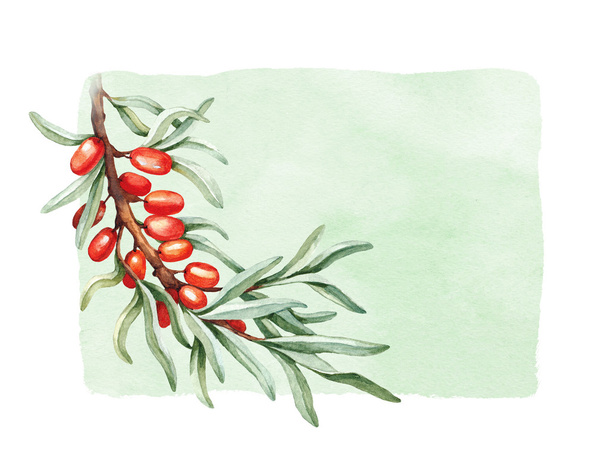 Watercolor sea buckthorn illustration - Foto, afbeelding