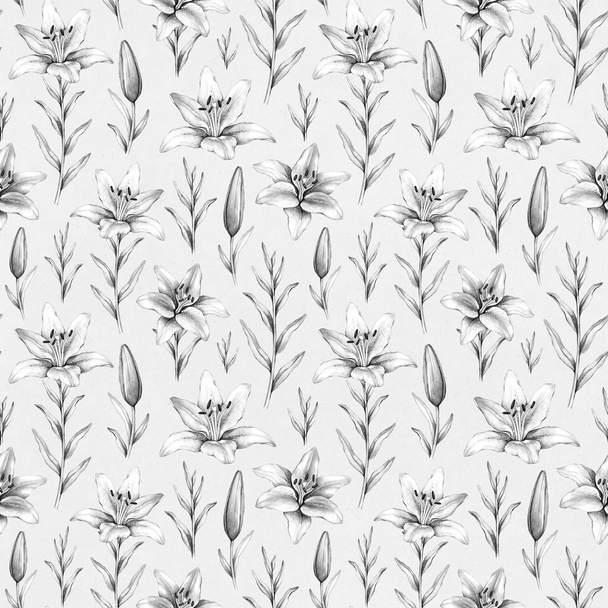 nahtloses Muster mit Bleistiftzeichnungen von Lilienblüten - Foto, Bild