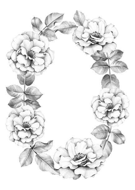 Fundo com desenho de flores de rosa selvagens
 - Foto, Imagem