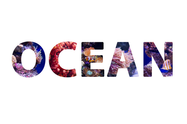 Барвистий знак на білому тлі. Слово океан з барвистими підводними зображеннями всередині літер
. - Фото, зображення