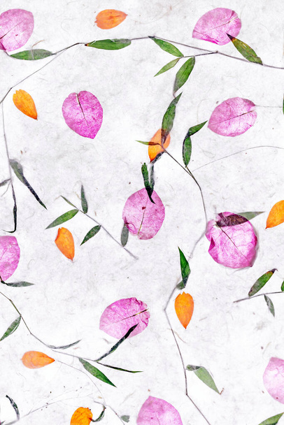 bloemen aquarel patroon. waterkleur achtergrond met bladeren - Foto, afbeelding