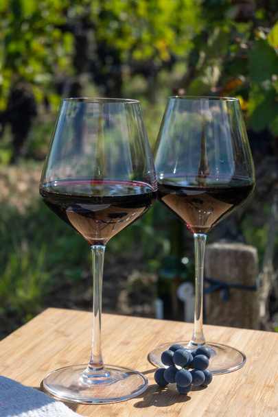 Vörösbordeaux-i bor, merlot vagy cabernet sauvignon vörösbor kóstolója Pomerol, Saint-Emilion bortermelő régió, Franciaország, Bordeaux cru osztályú szőlőültetvényein - Fotó, kép