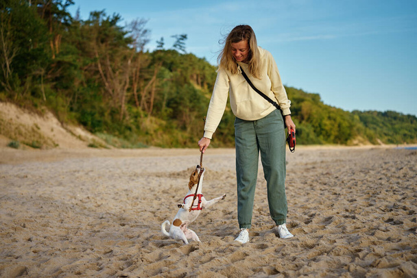Kobieta i aktywny pies bawią się na piaskowej plaży morskiej. Właścicielka spacerująca ze zwierzątkiem na wybrzeżu. Przyjaźń między zwierzętami a ludźmi - Zdjęcie, obraz