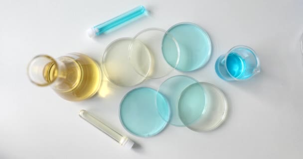 Test tubes for scientific laboratories and chemical laboratory liquids in test tubes. Research and development of oil or vaccine cosmetics in laboratory - Кадры, видео