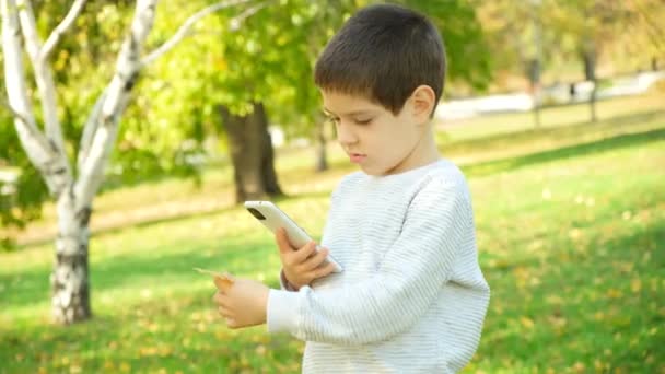 Niño pequeño tomando una foto de teléfono inteligente de una hoja de abedul de otoño en un parque de la ciudad - Imágenes, Vídeo
