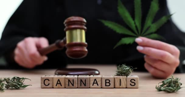 Mot Cannabis fait de cubes en bois devant juge avec marteau et feuille de marijuana fraîche dans les mains au ralenti. Légalisation du concept des herbes médicinales - Séquence, vidéo