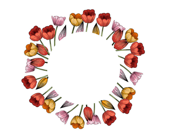 Zestaw trzech tulipanów kwiat strony narysowane kolorowy szkic do rysunku wektor ilustracji izolowane na białym tle - Wektor, obraz