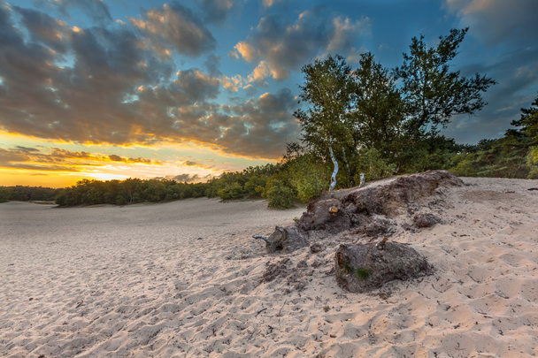 Duny s pohyblivé písky - Fotografie, Obrázek