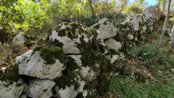 Castropignano, Molise, Italie 26 octobre 2023 : Restes de murs mégalithiques datant du IVe siècle avant JC. dans le Bosco Carpineto en aval du Castello D'Evoli - Séquence, vidéo