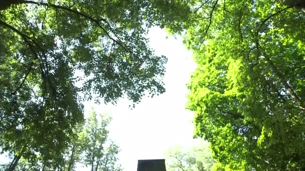 Dolly Średniej Shot of Memorial Stone dla poległych żołnierzy na cmentarzu - Materiał filmowy, wideo