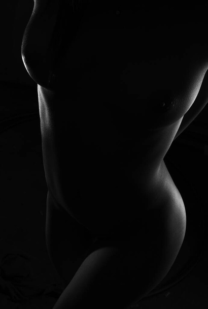 silueta de cuerpo femenino sexy desnudo en blanco y negro - Foto, Imagen