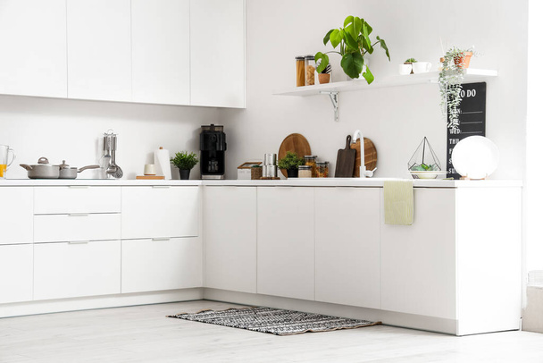 Білі лічильники з раковиною, кімнатні рослини та посуд в інтер'єрі сучасної кухні - Фото, зображення