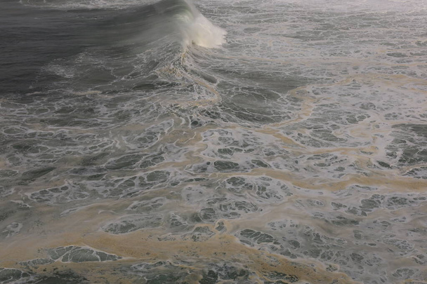 Vista su un'onda dalla spiaggia nord del faro Nazare nella regione di Oeste in Portogallo - Foto, immagini
