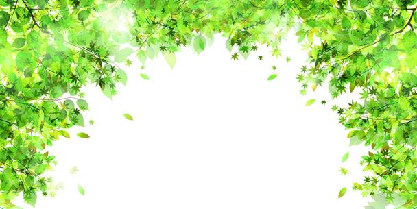Friss zöld levelek táj háttér - Vektor, kép