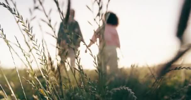 Natuur, hand in hand en rug van paar in een veld dat de zonsondergang omarmt met planten, gras en groen. Liefde, romantiek en mensen met bladeren voor een rustige of vredige omgeving op het platteland - Video
