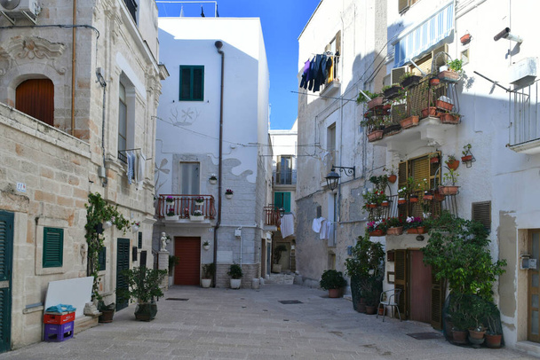 Une rue étroite entre les vieilles maisons de Monopoli, une ville dans la province de Bari, Italie. - Photo, image