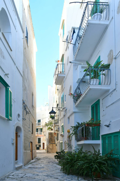 Wąska uliczka wśród starych domów Monopoli, miasto w prowincji Bari, Włochy. - Zdjęcie, obraz