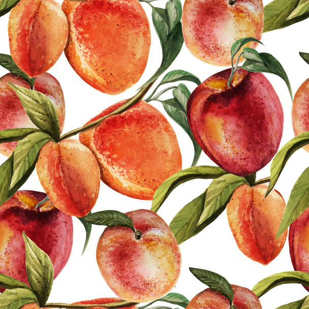 Watercolor pattern with  peaches. - Vector, Image