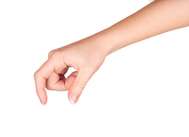 female hand holding something on a white background - Fotografie, Obrázek