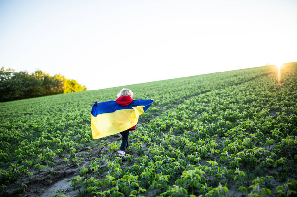 Žlutomodrá ukrajinská vlajka v rukou dívky běžící na rozdrceném poli pšenice. Šťastné dítě s vlajkou Ukrajiny. Den nezávislosti. Den vlajek. Den ústavy - Fotografie, Obrázek