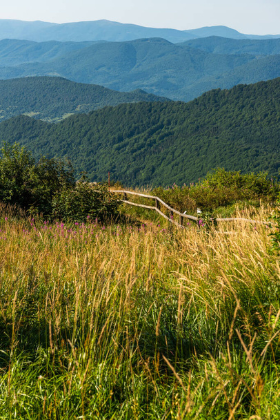 Wildernis en schilderachtige natuur en alpenlandschap in de zomer in Bieszczady Mountains, Karpaten, Polen. - Foto, afbeelding