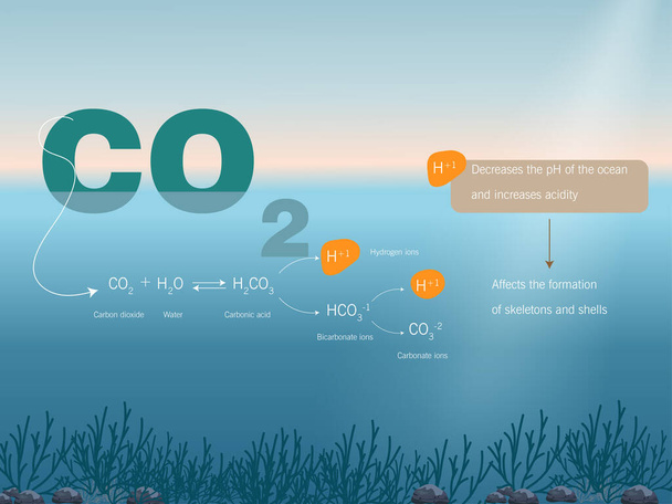 Okyanus asitleşme süreci. Kimyasal denklem ve sonuçlar - Vektör, Görsel