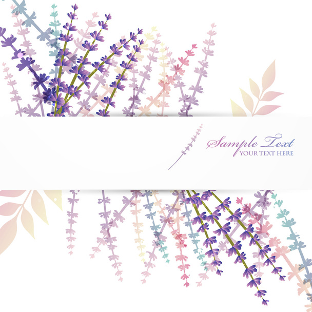 Lavender background - Vector, Image