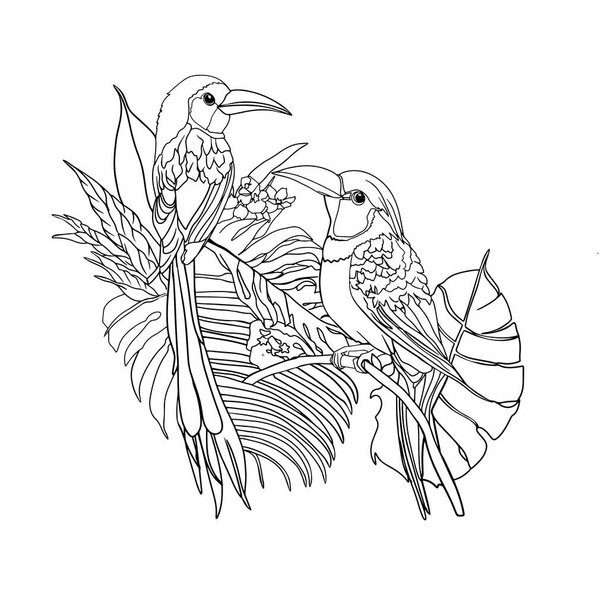 Μεμονωμένη απεικόνιση εξωτικού πουλιού του παραδείσου με τροπικά φυτά. Για μια παιδική σελίδα ζωγραφικής, ένα κενό για τους σχεδιαστές είναι διάνυσμα. Ετικέτα, λογότυπο, εικονίδιο, εκτύπωση - Διάνυσμα, εικόνα