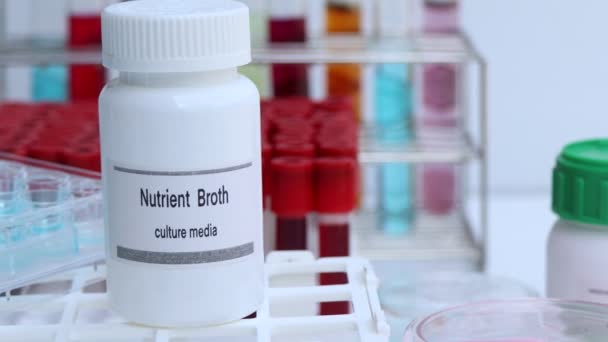 Nutrient Broth, Culture Media in bottle, Culture media used in laboratory, Scientific and medical experiments - Footage, Video