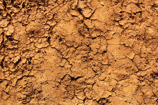tło suche gleby - Zdjęcie, obraz