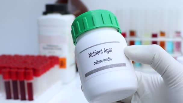Nutrient Agar, Medios de cultivo en botella, Medios de cultivo utilizados en experimentos de laboratorio, científicos y médicos - Metraje, vídeo