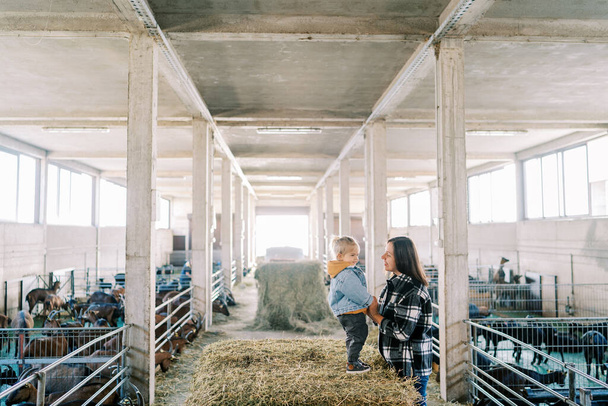 Pikkutyttö seisomassa heinäpaalin päällä ja pitämässä kädestä hymyilevää äitiä maatilalla. Laadukas kuva - Valokuva, kuva