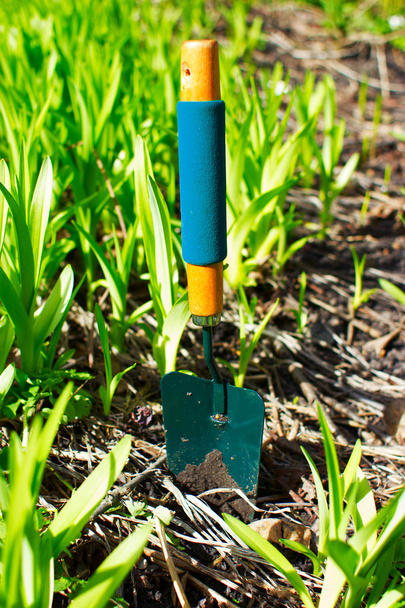 Інструменти для садівництва на землі на задньому дворі
 - Фото, зображення