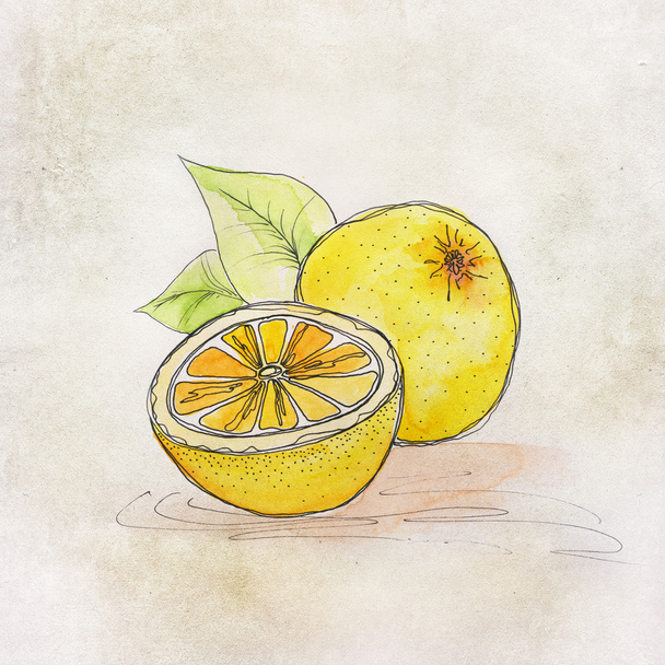 Fruit illustration with watercolor - Foto, afbeelding