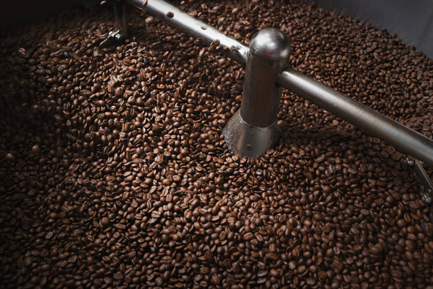 Keskipaahdettuja kahvipapuja paahtamalla process.Medium-ruskea väri, voi olla öljyä pinnalla papuja. - Valokuva, kuva