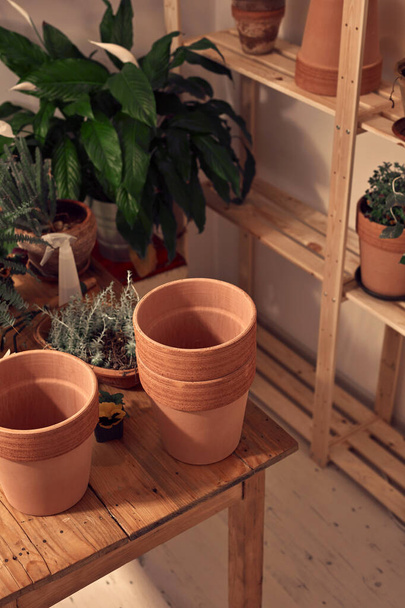 自宅で新しい植物のための植物と粘土鍋の準備ができています. - 写真・画像