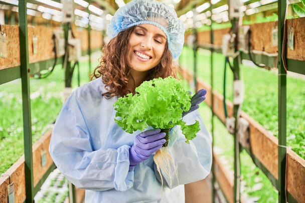 Portrait of joyful female gardener holding green lettuce in greenhouse. Cheerful young woman in garden gloves with green leafy plant in hands standing on blurred background. - Foto, Imagen