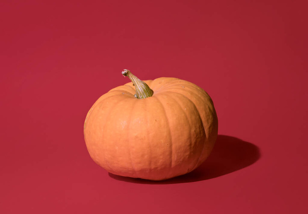 Pumpkin on a red background, minimal autumn beauty concept - Photo, Image
