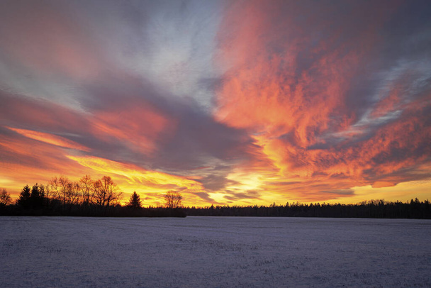 Colourful sunrise with glowing red clouds on a winter's day over the meadows and forests of Siebenbrunn, the smallest district of the Fugger city of Augsburg - Photo, Image