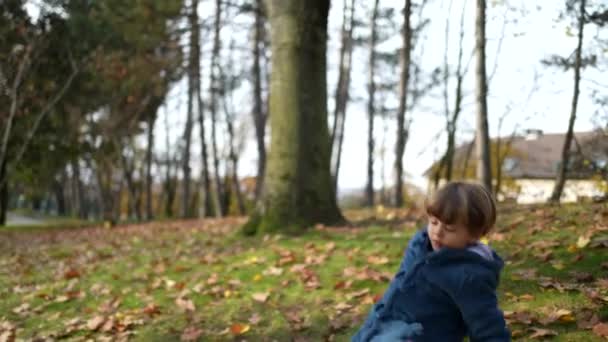Pieni poika putoaa maahan kävellessään puistossa. 3-vuotias lapsi vahingossa kompastuu ja putoaa kävellessään luonnossa - Materiaali, video
